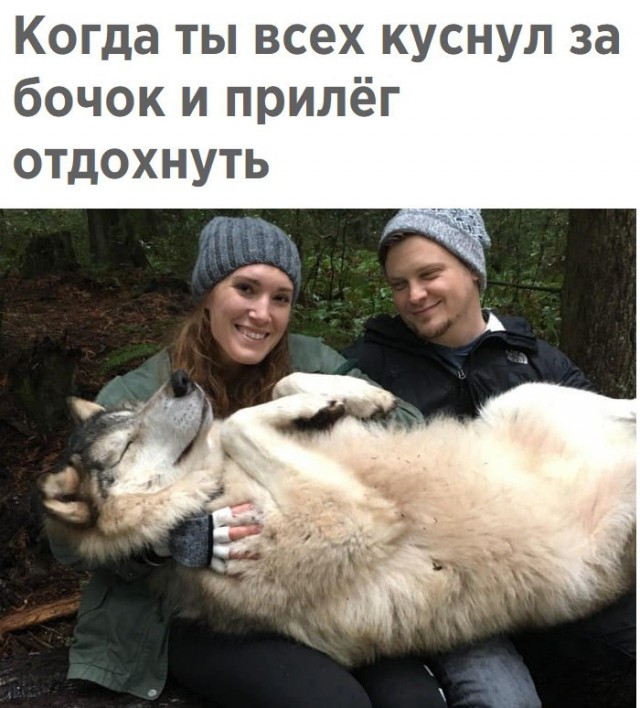 Картинок слегка)