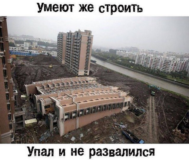 Картинки с надписями, истории и анекдоты