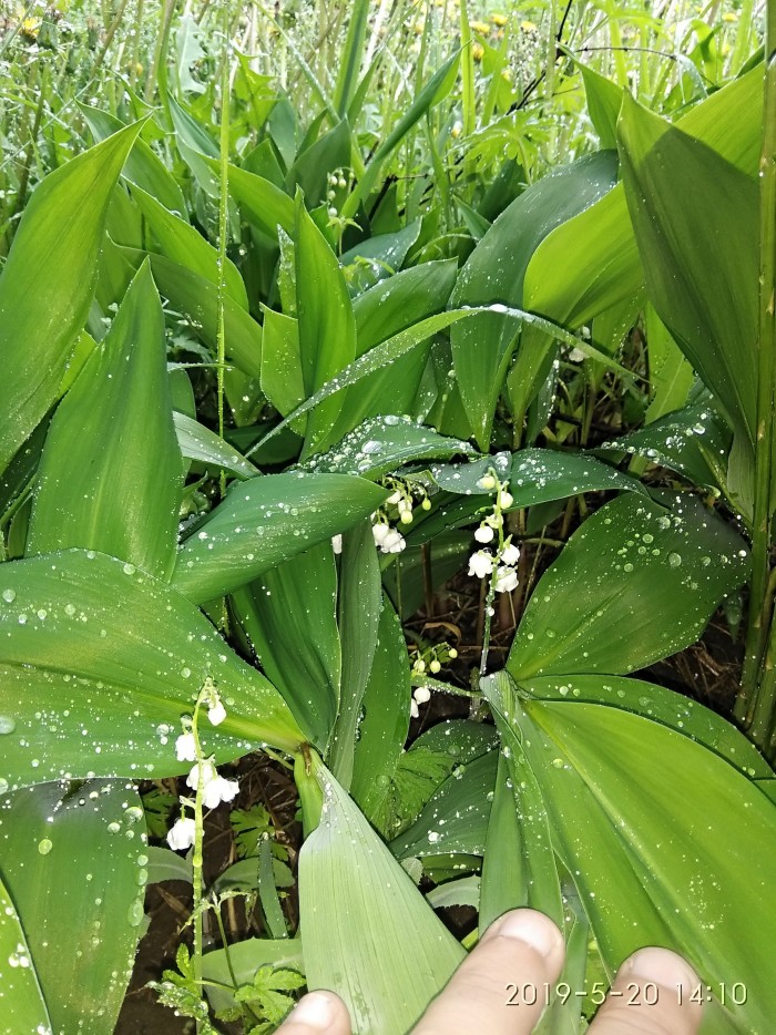 Сам себе фотограф