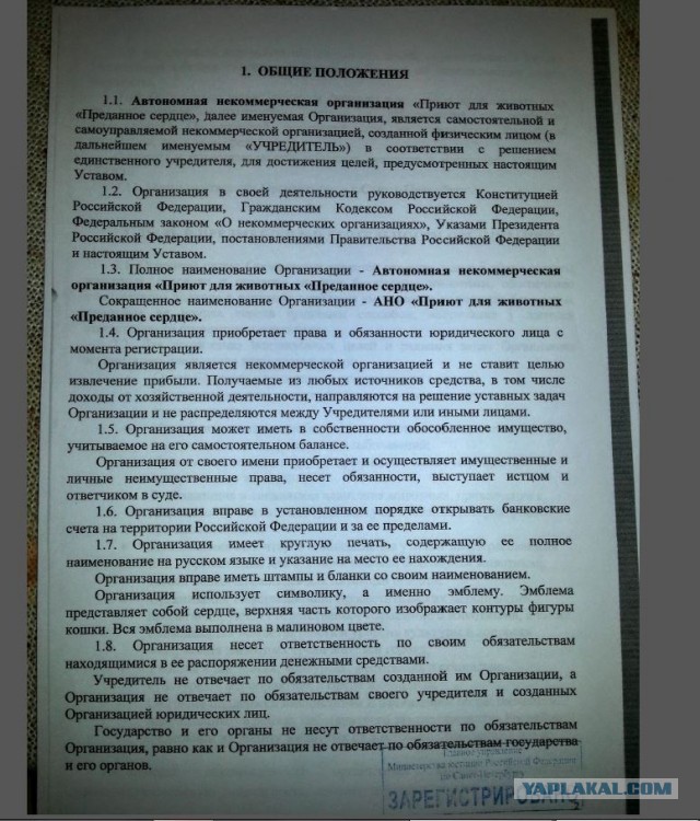 Помогите вернуть кота! Приют "Преданное сердце" украл кота и не отдает!-2