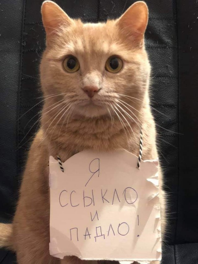 Перлы 17.02.20