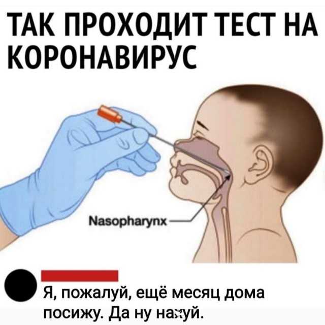 Дневник контактного по COVID-19