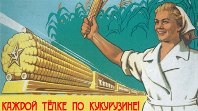 Фотки и картинки: юморные и красивые, забавные и милые 25.03.21