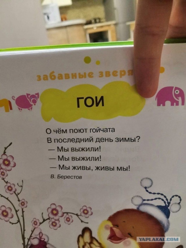 Чуток картинок 25.01.22