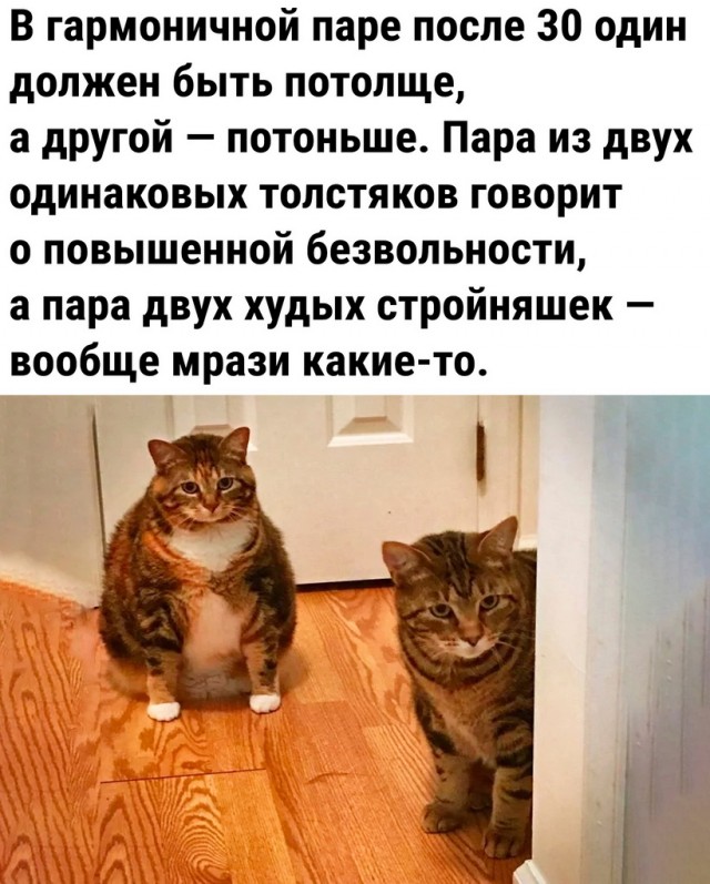 Картинки с текстом