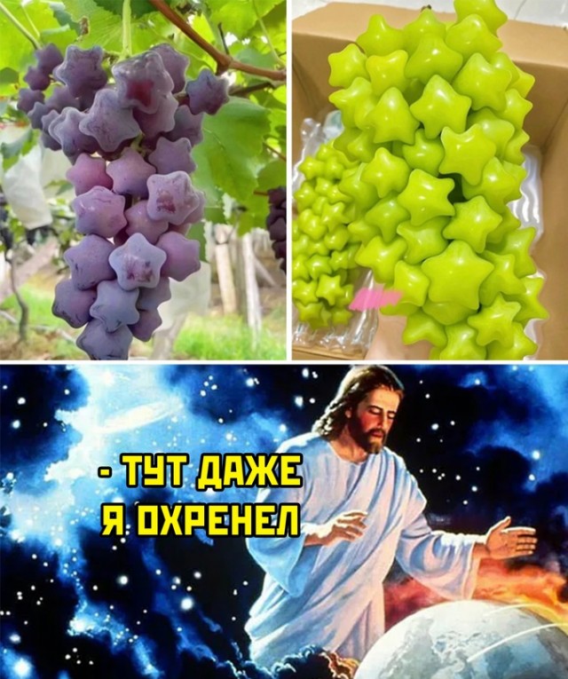 Весёлый полтишок 13.09.22