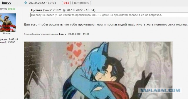 В Госдуму внесен законопроект о запрете ЛГБТ-пропаганды в России