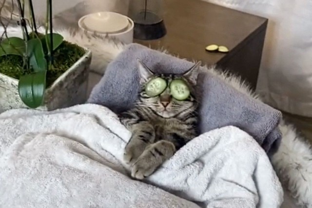 Я буду охранять твой сон