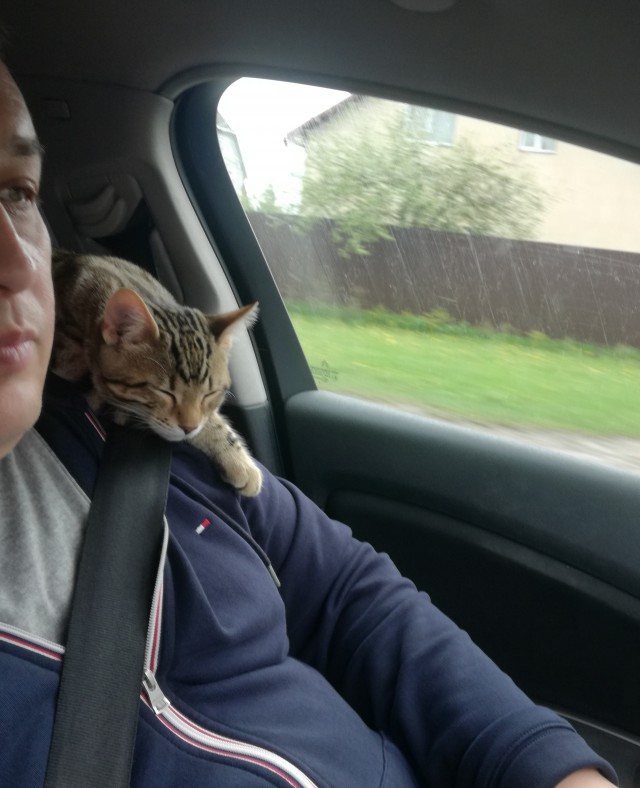 Пройдемся по котикам?!