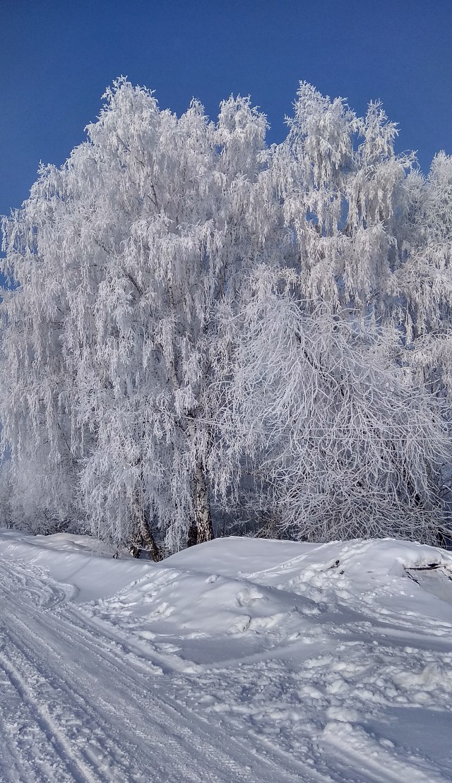Прогулка по лесу!