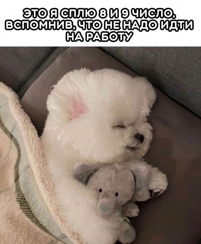 Так себе картинки 08.05.23
