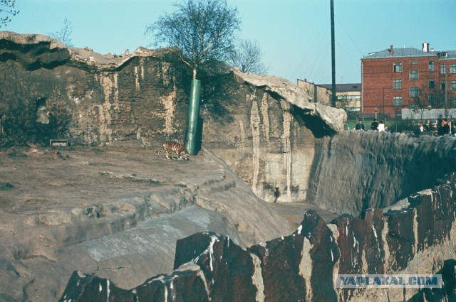 Москва 1953