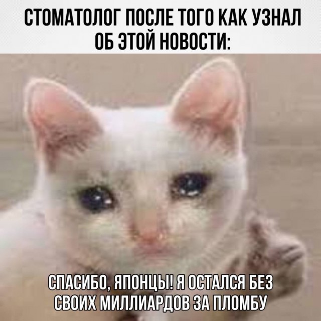 Японские учёные создали лекарство для роста зубов