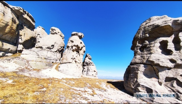 Алтай любимый