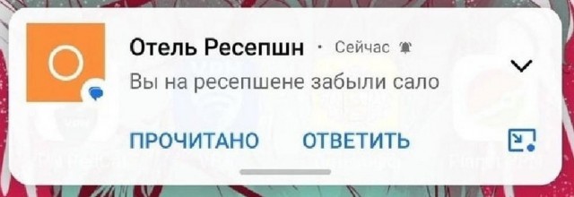 Забавные комментарии из социальных сетей (18.09.23)