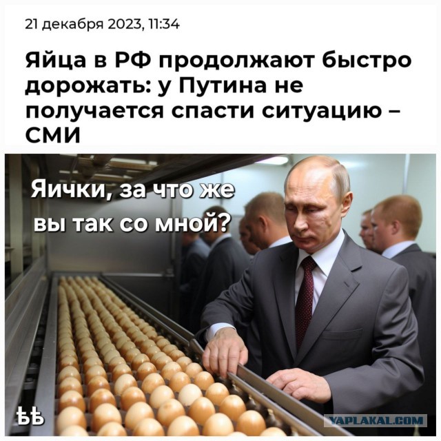 Песков: усилия по снижению цен на яйца увенчались успехом