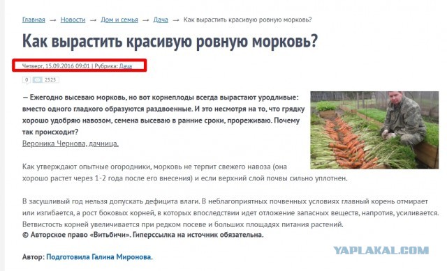 Зачем мой сосед снёс теплицу с луком и засадил 18 соток морковкой: в этом году хочет ещё 25