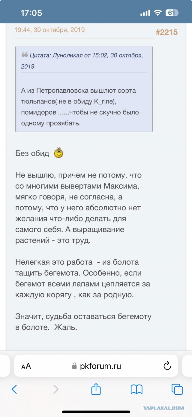 12 марта в Пахачах оттепель с влажным восточным ветром