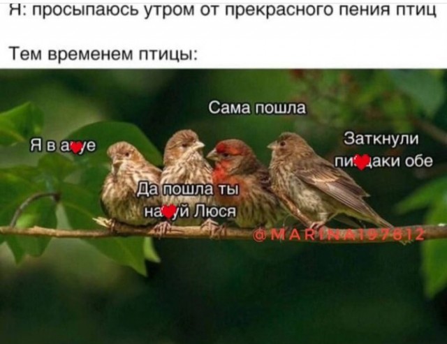 Завалялось тут случайно немного забавных картинок