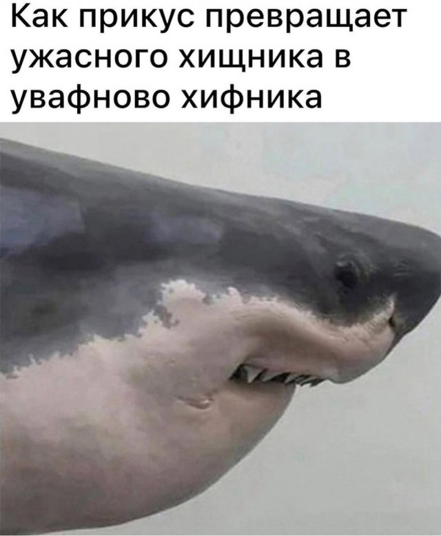 Отряд быстрого деградирования