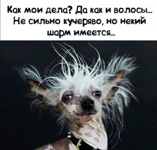 Немножко для пятницы. Солянка