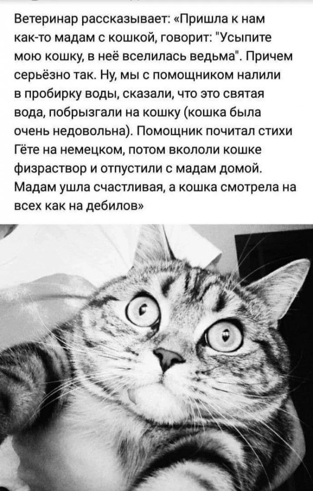 Завалялось тут случайно немного забавных картинок