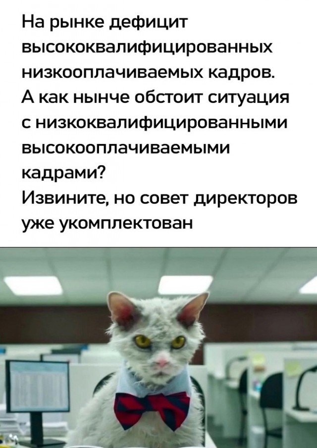 Так себе картинки 09.02.25