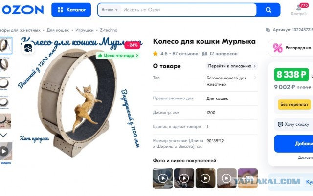 Неугомонные тыгыдымщики