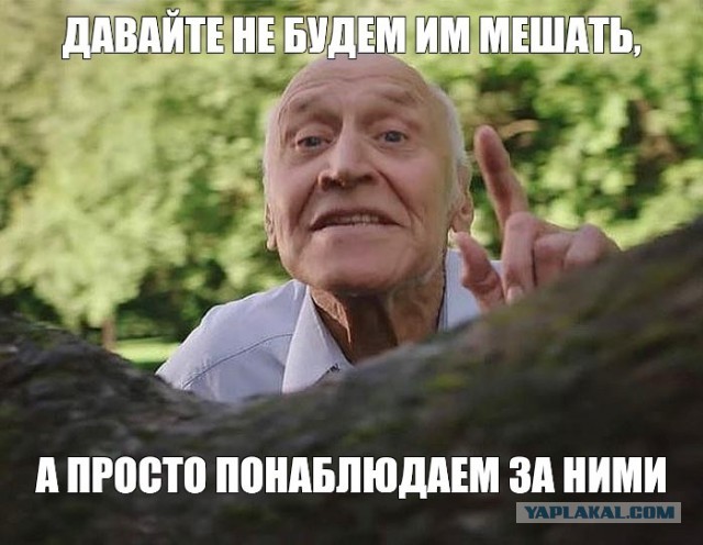 Тащи... тащи его!