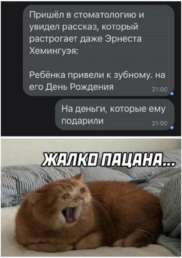 Так себе картинки 13.09.25