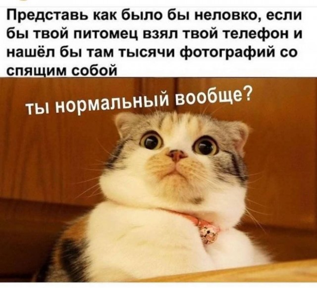 Веселые картинки в маленькую пятницу (03.12)
