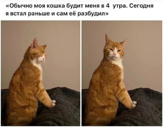 Так себе картинки 02.01.26
