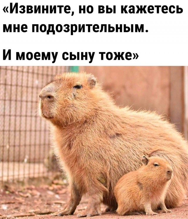 Воскресные картинки