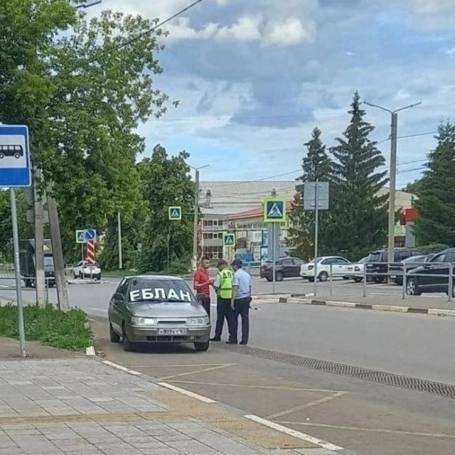 Выгнутоспинный #1