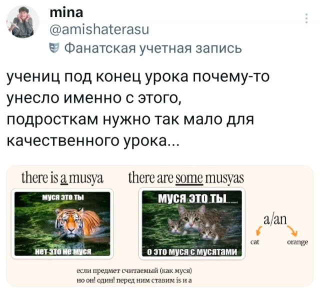 Потная гамсахурдия №4 (Картинки)