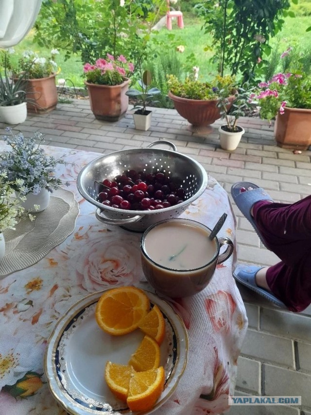 Не дать растаять Снегурчке. Нужна помощь всесильного Япа.