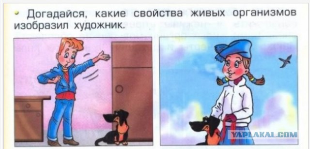 Учат в школе, учат в школе...