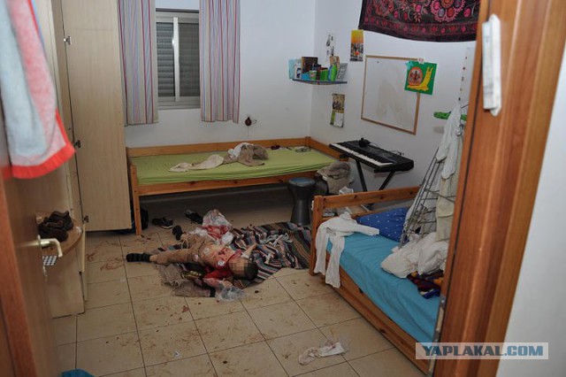 Положить конец оккупации арабских земель!