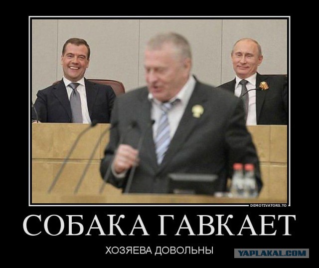 Жириновский жжот  в Ялте 14 08 2014