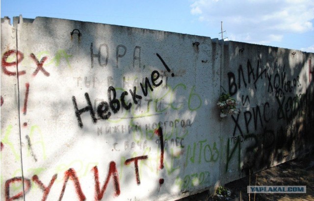 фото с кладбища где похоронен Юра Хой.