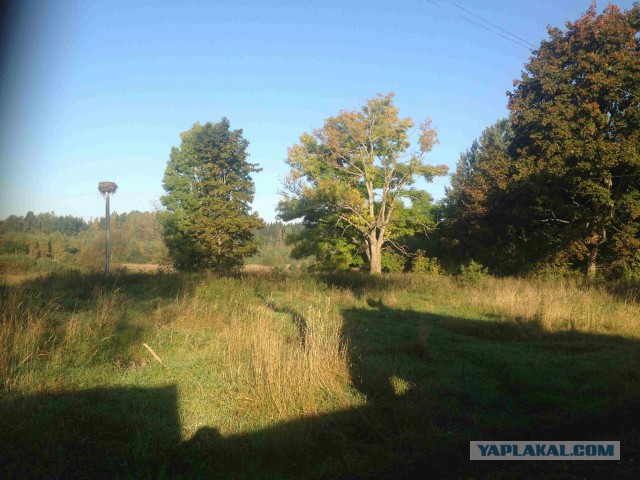 Как менялся старый пол.