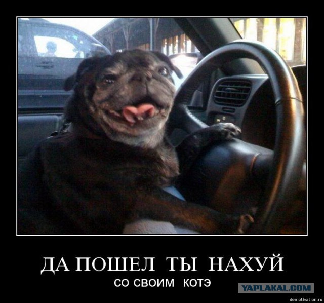 Да как так то?