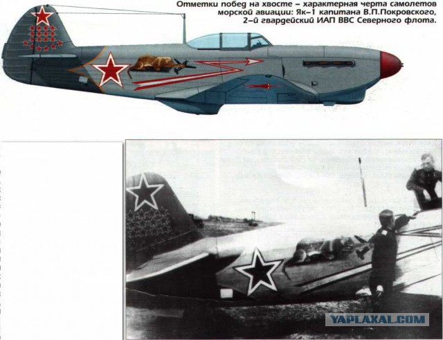 War Thunder