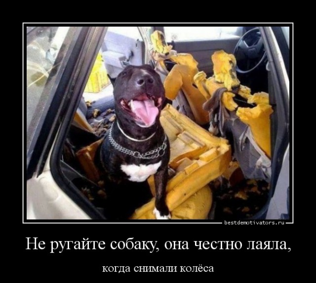 У ласточки колеса сняли