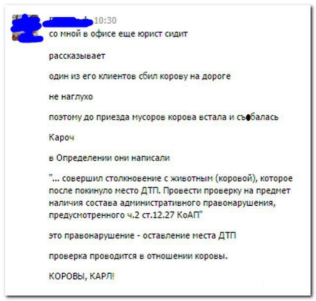 Ужасы и приколы из соцсетей 18+