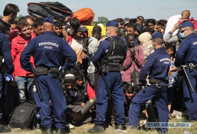 Иностранные журналюги заголосили....