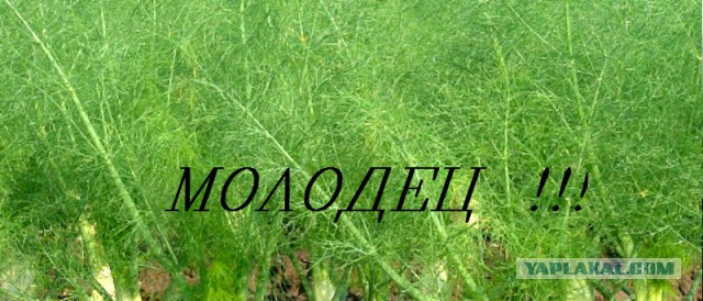 Маленькая Карелия