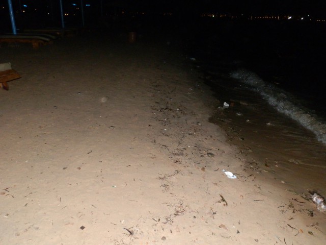 День очистки Красного моря