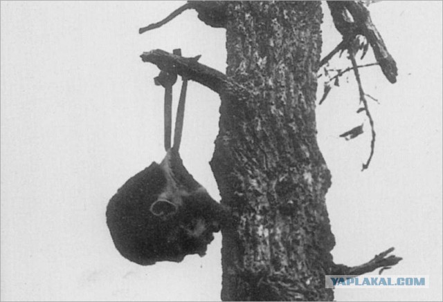 Опыт армий Рейха и СССР на 1941 год