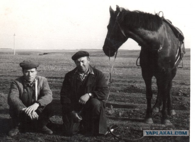 Вот оно какое наше лето!